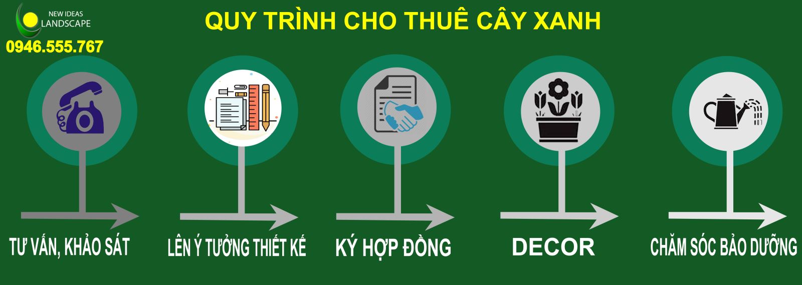 Quy Trình Cho Thuê Cây Văn Phòng