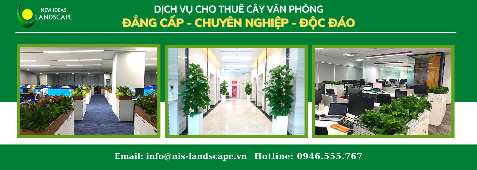 Dịch vụ cho thuê cây văn phòng